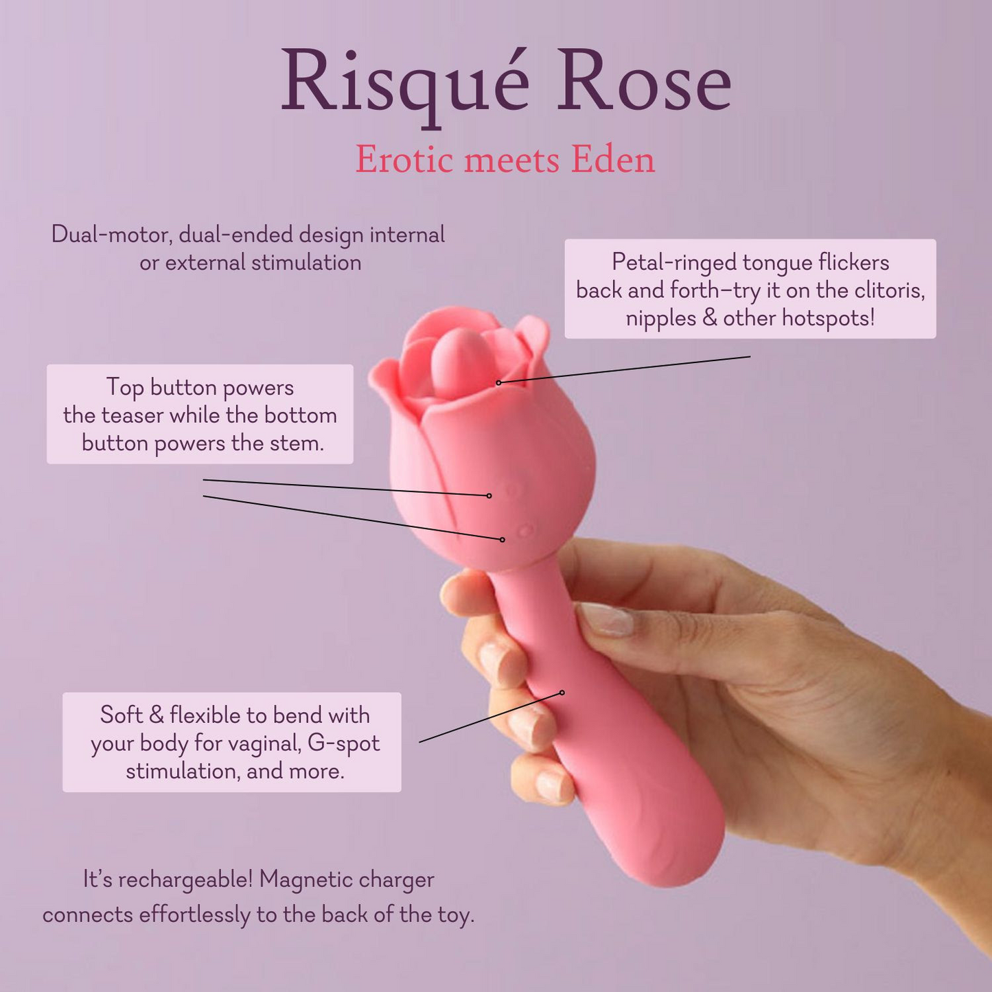 Risqué Rose